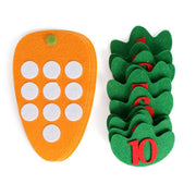 Montessori Carrot Counting Toy